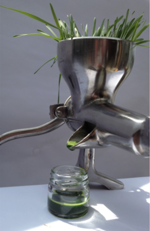 Odšťavovač na microgreens nerezový